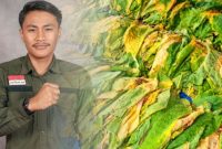Moh. Syauqi | Sekertaris BEM Nusantara Jawa Timur ( DetakIndo.com)