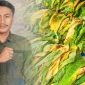 Moh. Syauqi | Sekertaris BEM Nusantara Jawa Timur ( DetakIndo.com)