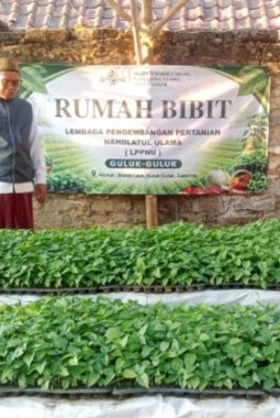 LPPNU Guluk-Guluk Resmikan “Rumah Bibit” untuk Pertanian Berkelanjutan