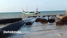 Sebatang kayu berukuran cukup besar ditemukan terdampar di pesisir Pantai Bicabbi, Kecamatan Dungkek, Kabupaten Sumenep, Madura, Jawa Timur (Detakindo.com).