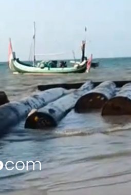 Kayu Bertuliskan “Kementerian Kehutanan” dan PT Indah Lestari Muncul di Pantai Dungkek Sumenep