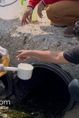 GPN Jatim dan DLH Sumenep Turun ke Pesisir Ambunten, Sampel Limbah Tambak Udang Diuji